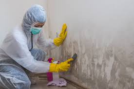 Best Post-Construction Mold Inspection in USA